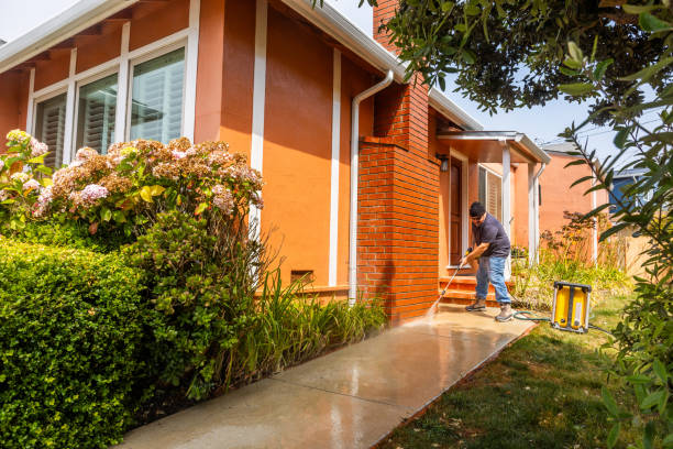 Best Roof Pressure Washing  in Bellmore, NY